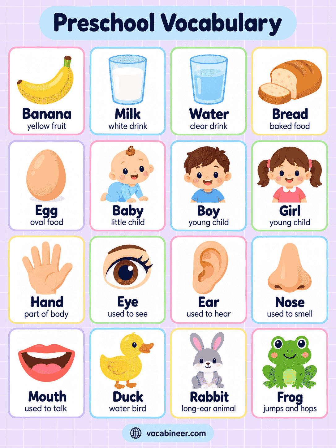 Preschool Vocabulary Words with Pictures