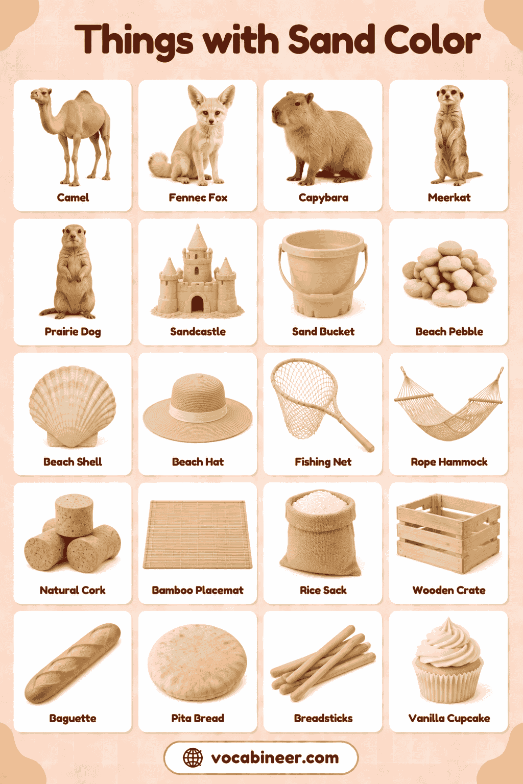 Sand Colored Things with Names & Pictures