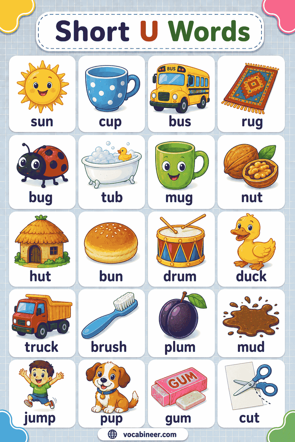 Short U Words for Kids Word List, Examples & Pictures