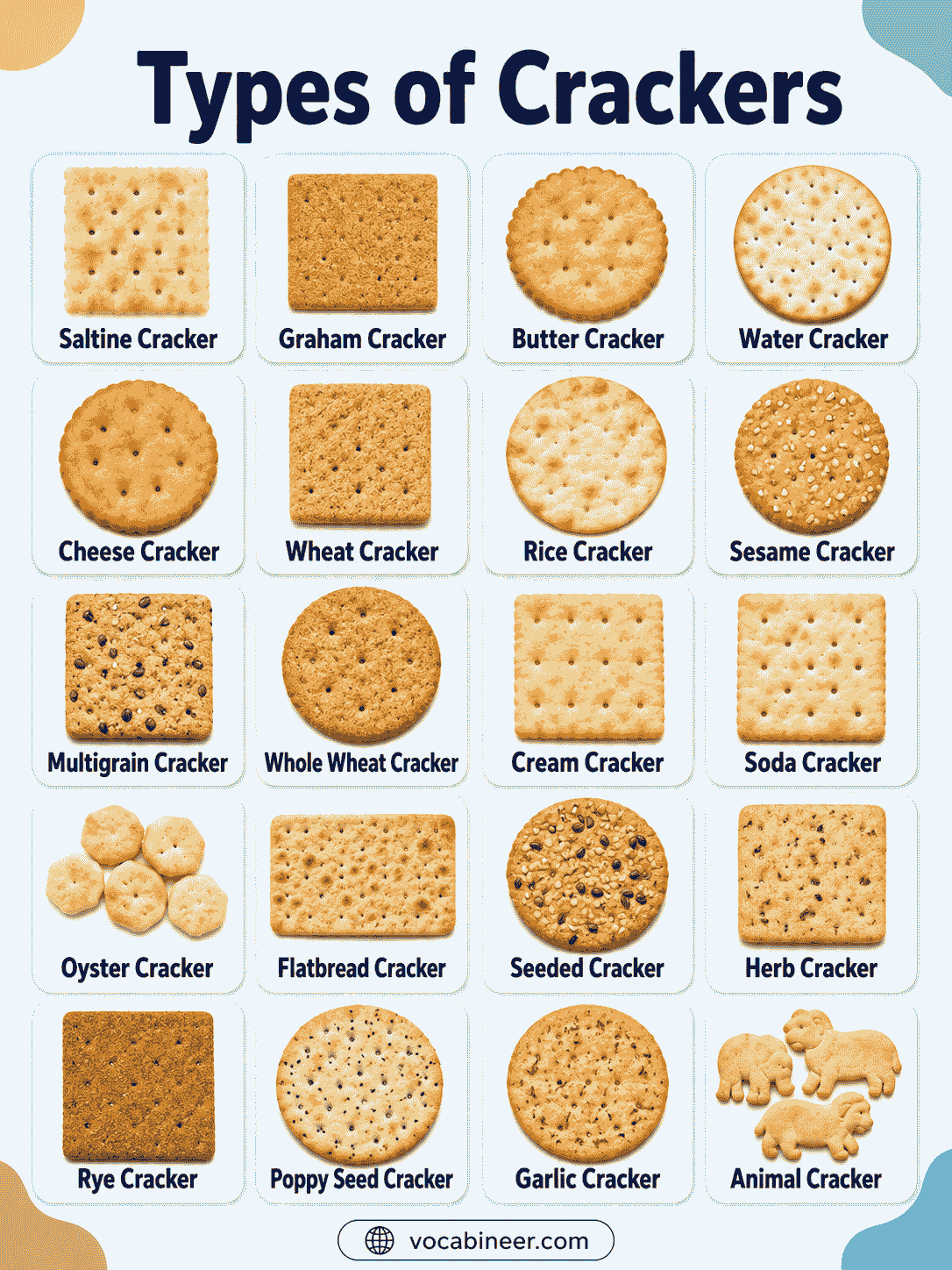 Types of Crackers with Names & Examples: Easy Guide