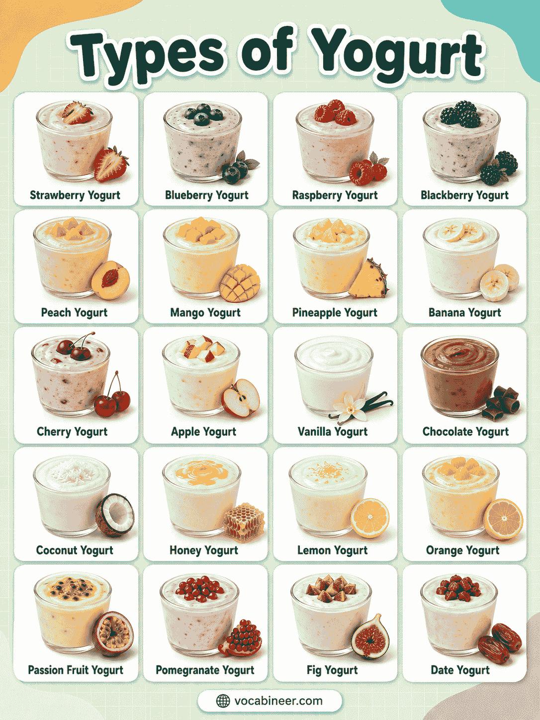 Different Types of Yogurt Explained with Clear Pictures