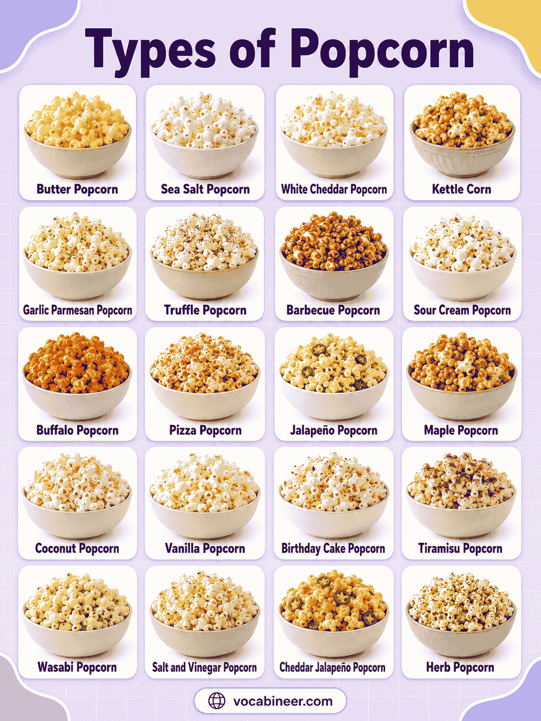 Types of Popcorn Explained from Kernel to Finished Snack