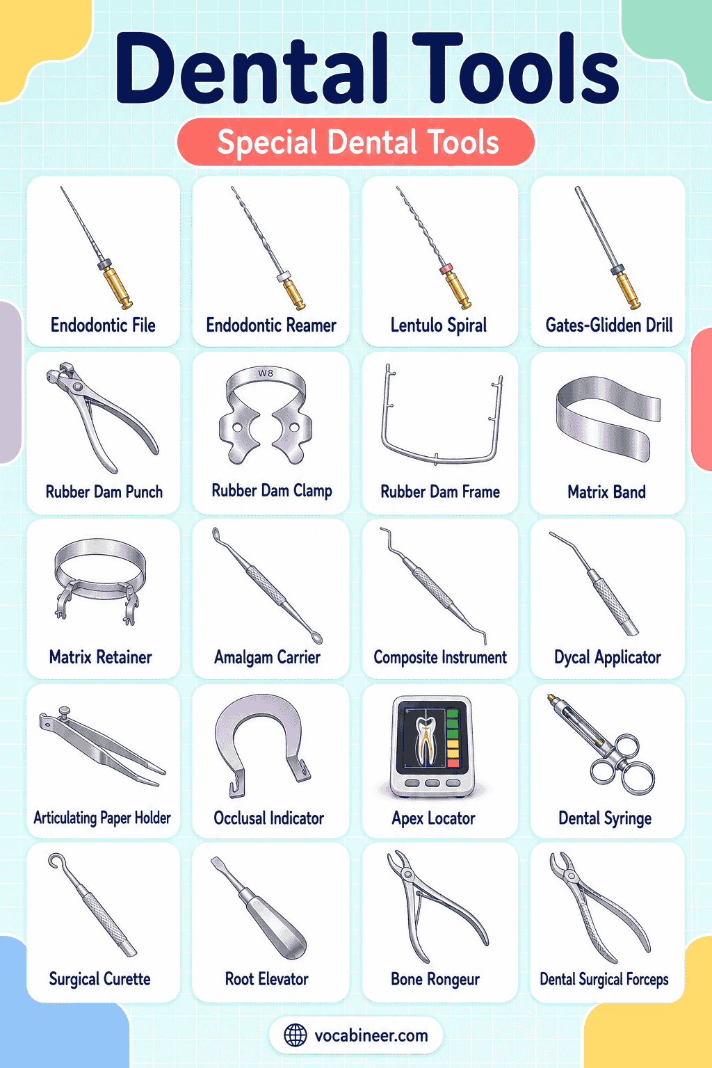 Dental Instruments with Uses and Pictures