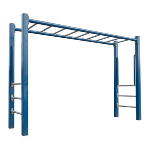 Monkey Bars
