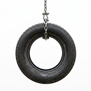 Tire Swing