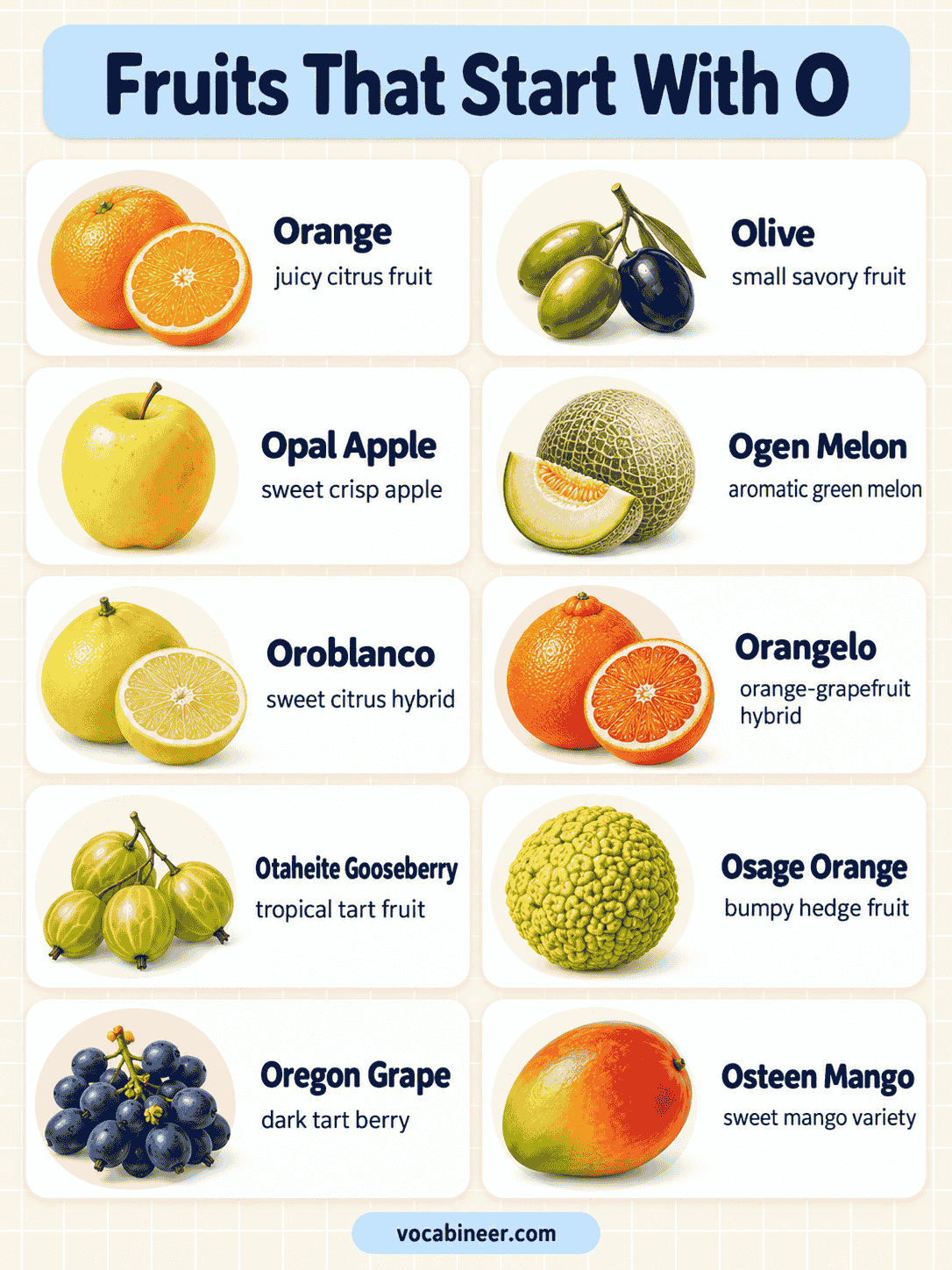 22 Fruits That Start With O With Names and Pictures