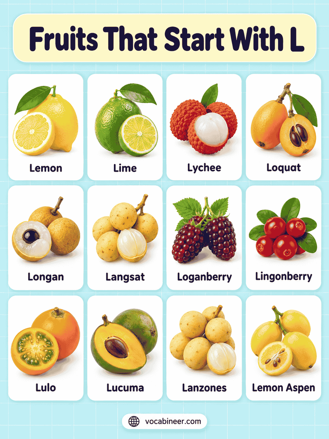 26 Fruits That Start With L With Names and Pictures