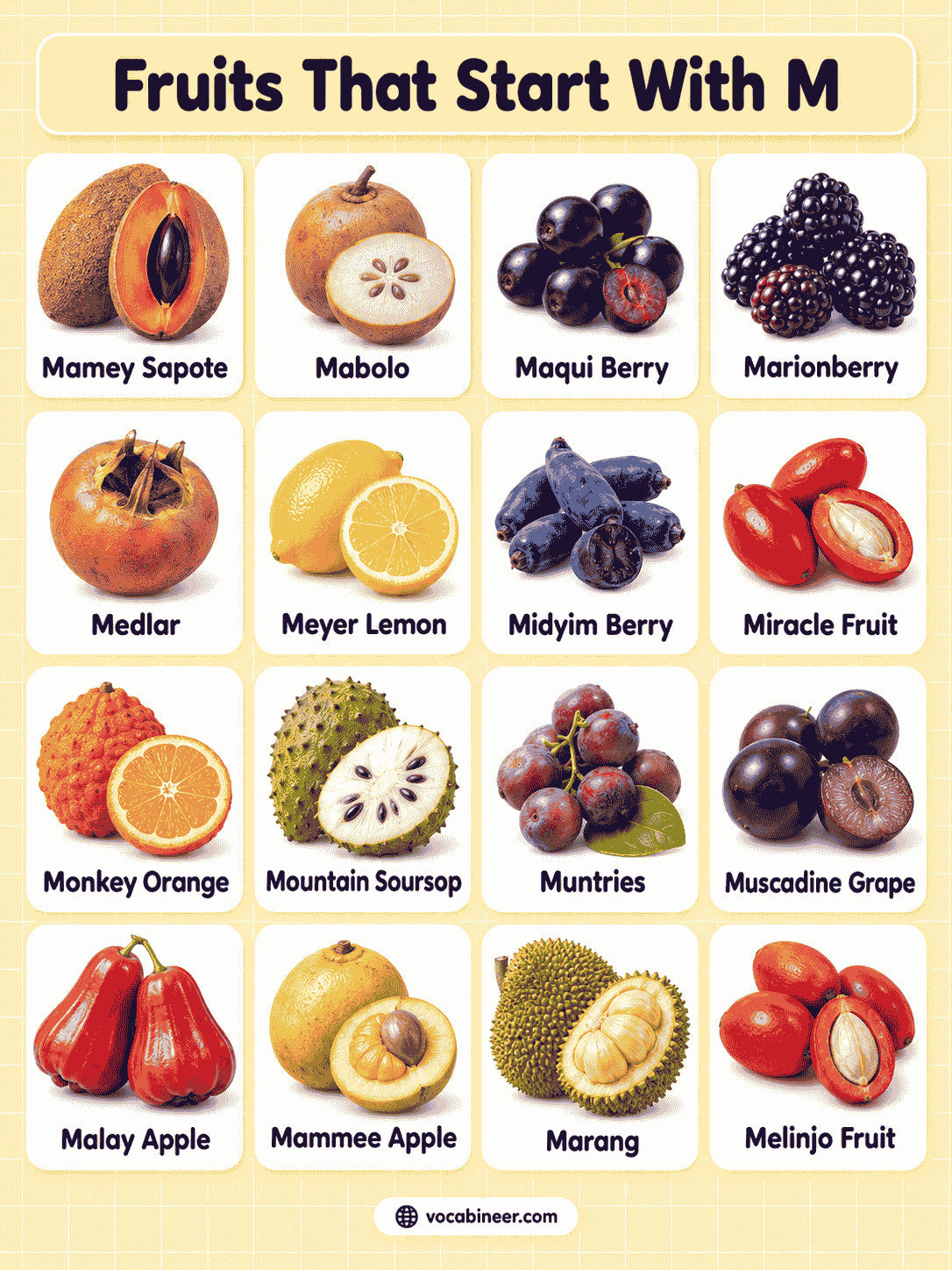 34 Fruits That Start With M With Names and Pictures
