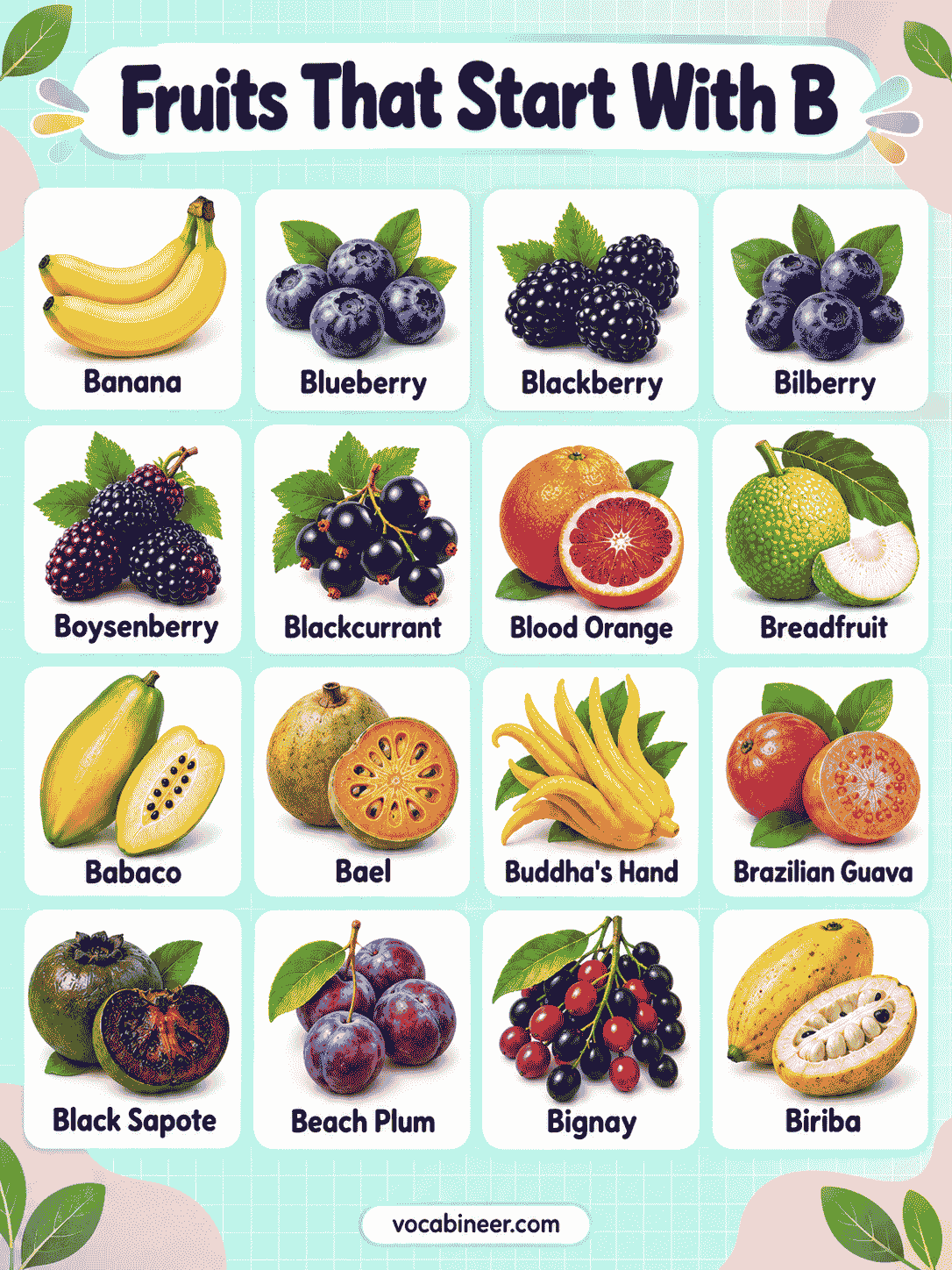 50 Fruits That Start With Letter B with Pictures: Complete List