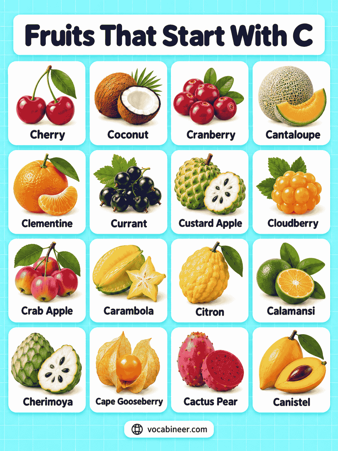55 Fruits That Start With C With Names and Pictures