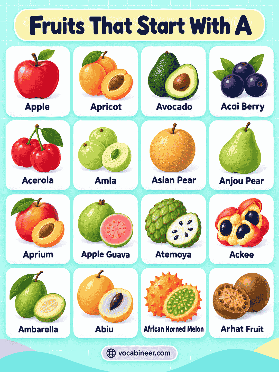 60+ Fruits That Start With A: Names and Pictures