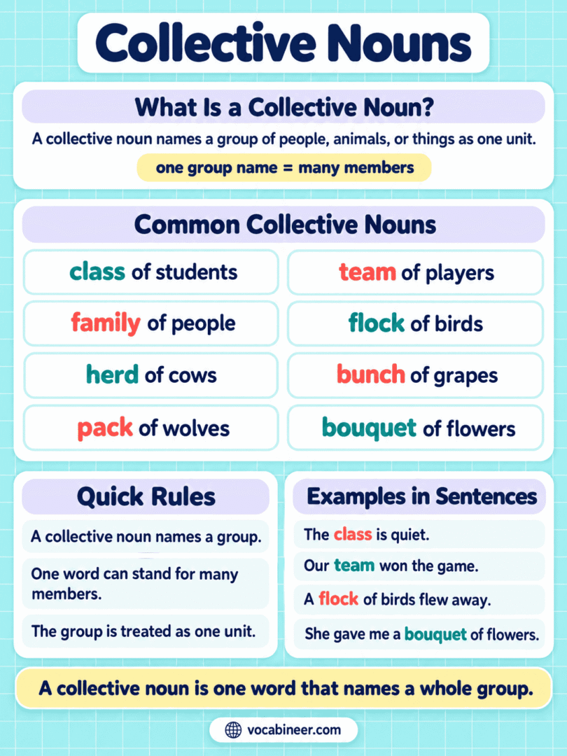 Collective Nouns: Definition and Examples