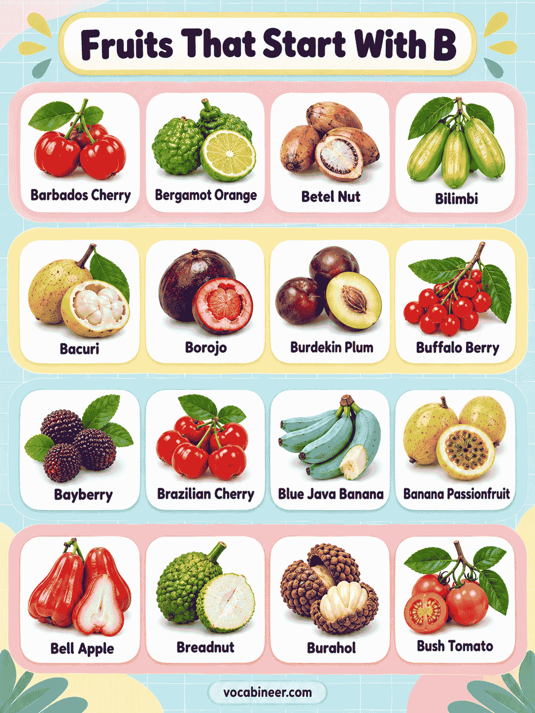 Common Fruit Names Beginning With B with Pictures