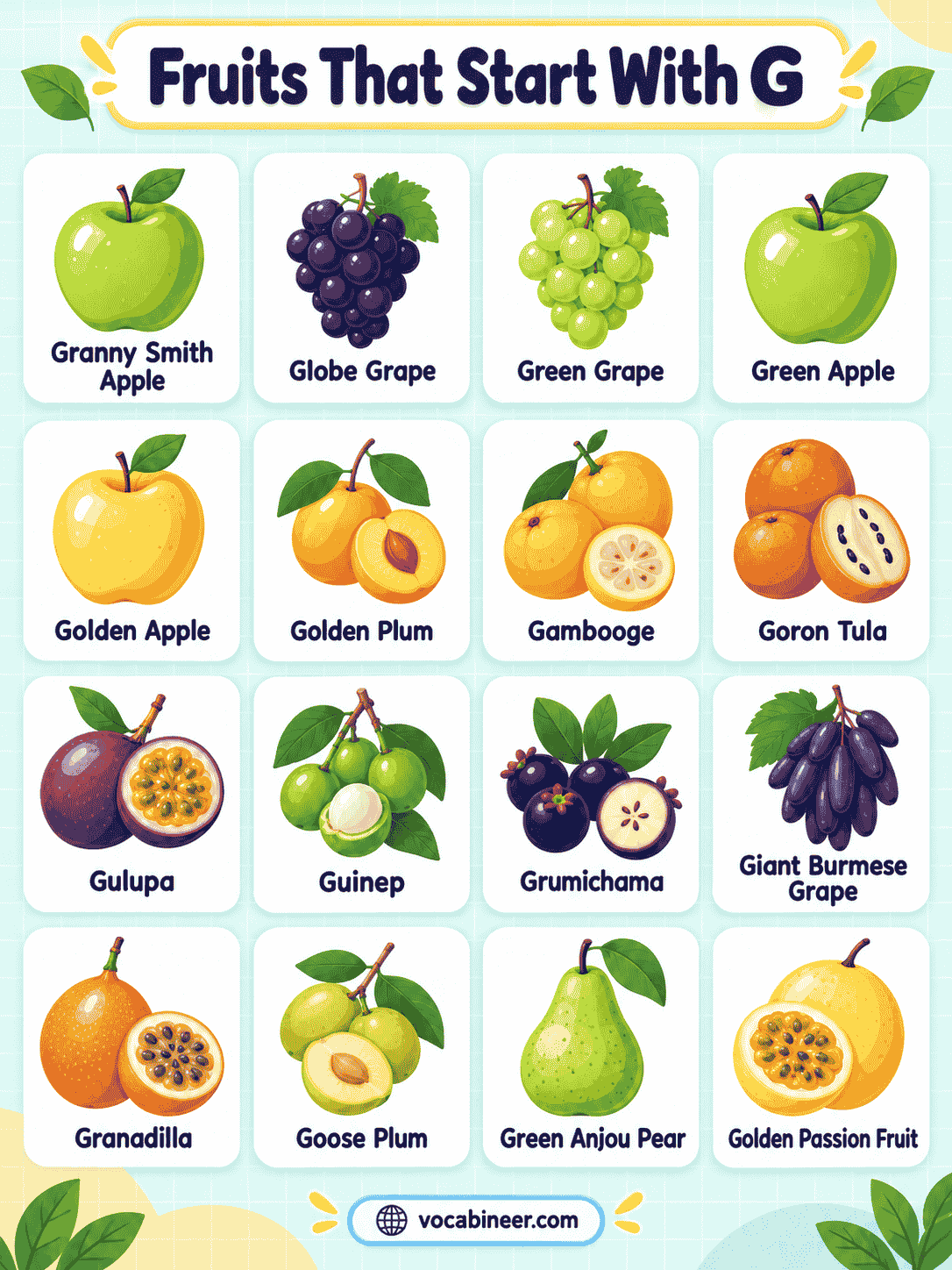 Complete List Fruit Names Beginning With G