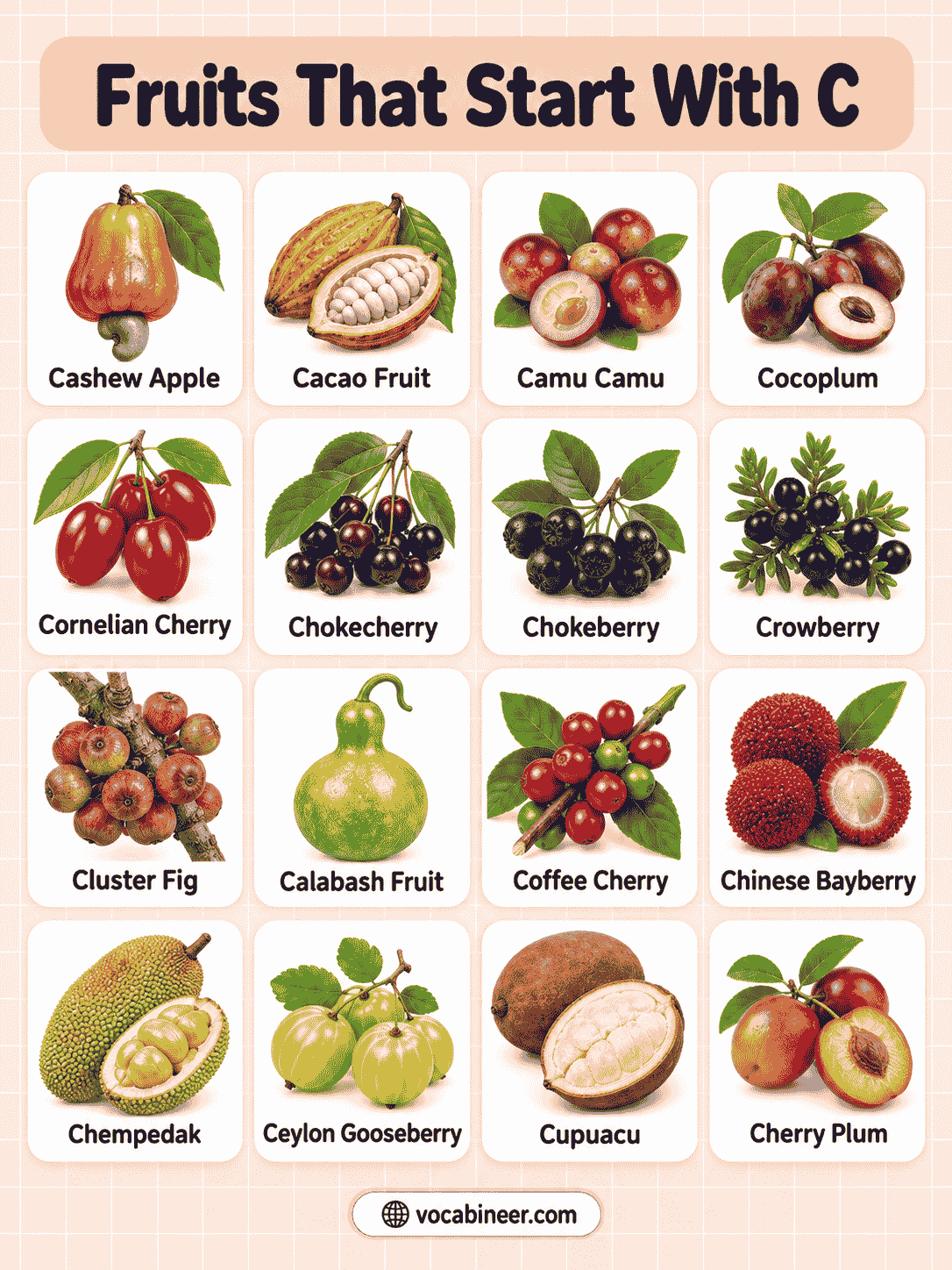 Fruits Beginning With C: Names, Pictures, and Meanings