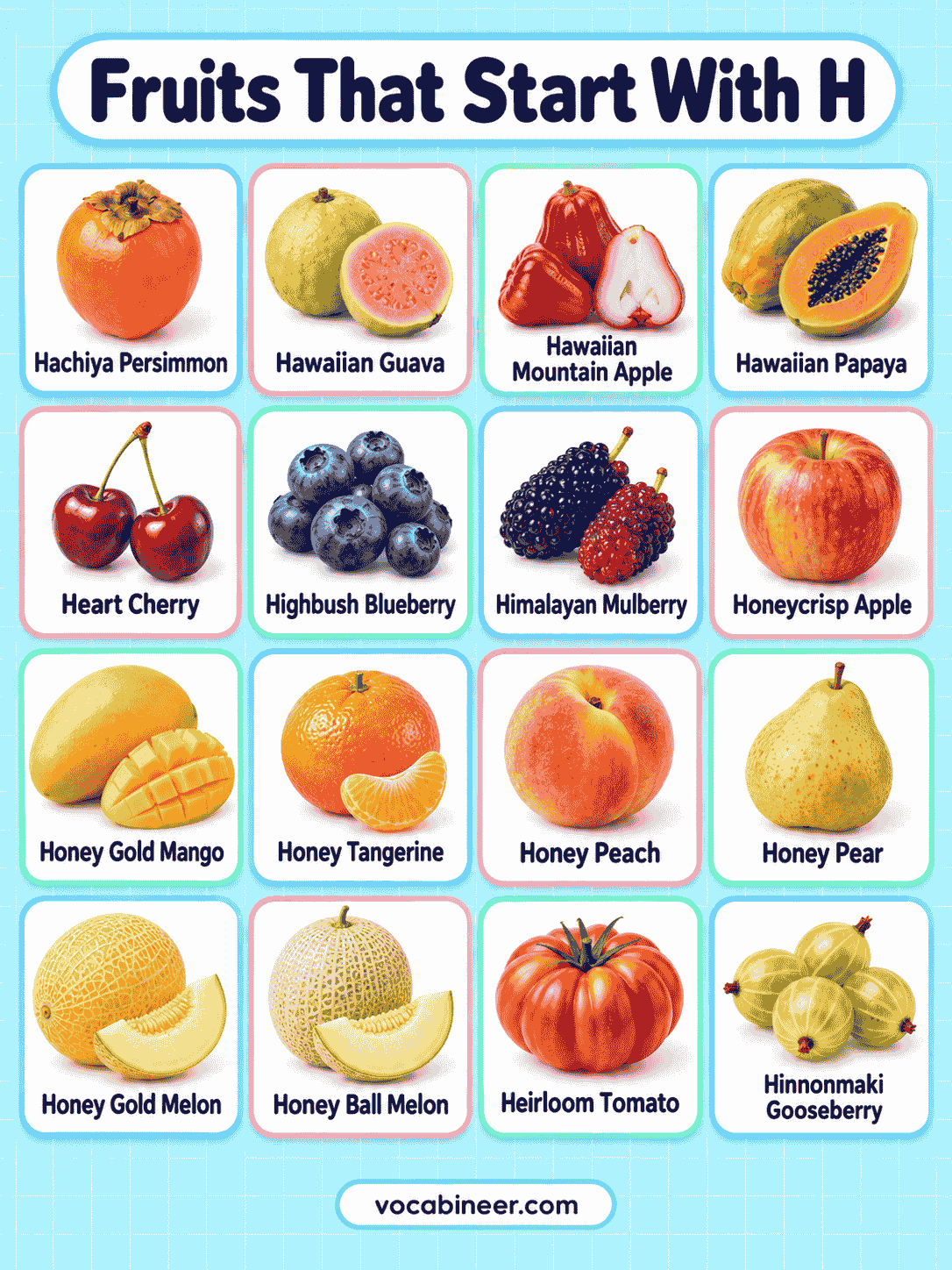 Fruits Beginning With H: 24 Names to Know