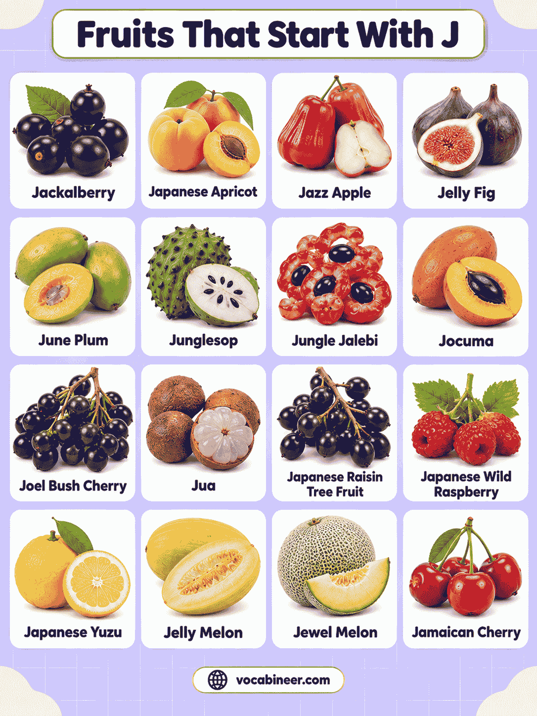 Fruits List Beginning With J With Pictures