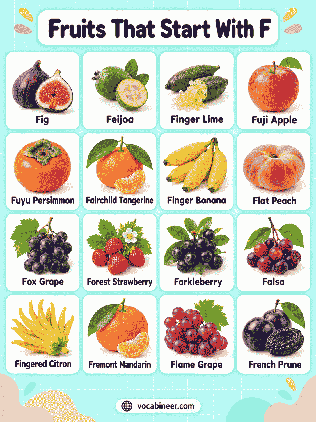 Fruits That Start With F: 26 Familiar and Rare Names