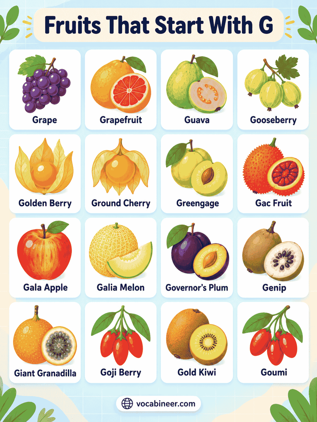 Fruits That Start With G: 35 Popular and Rare Names with Pictures