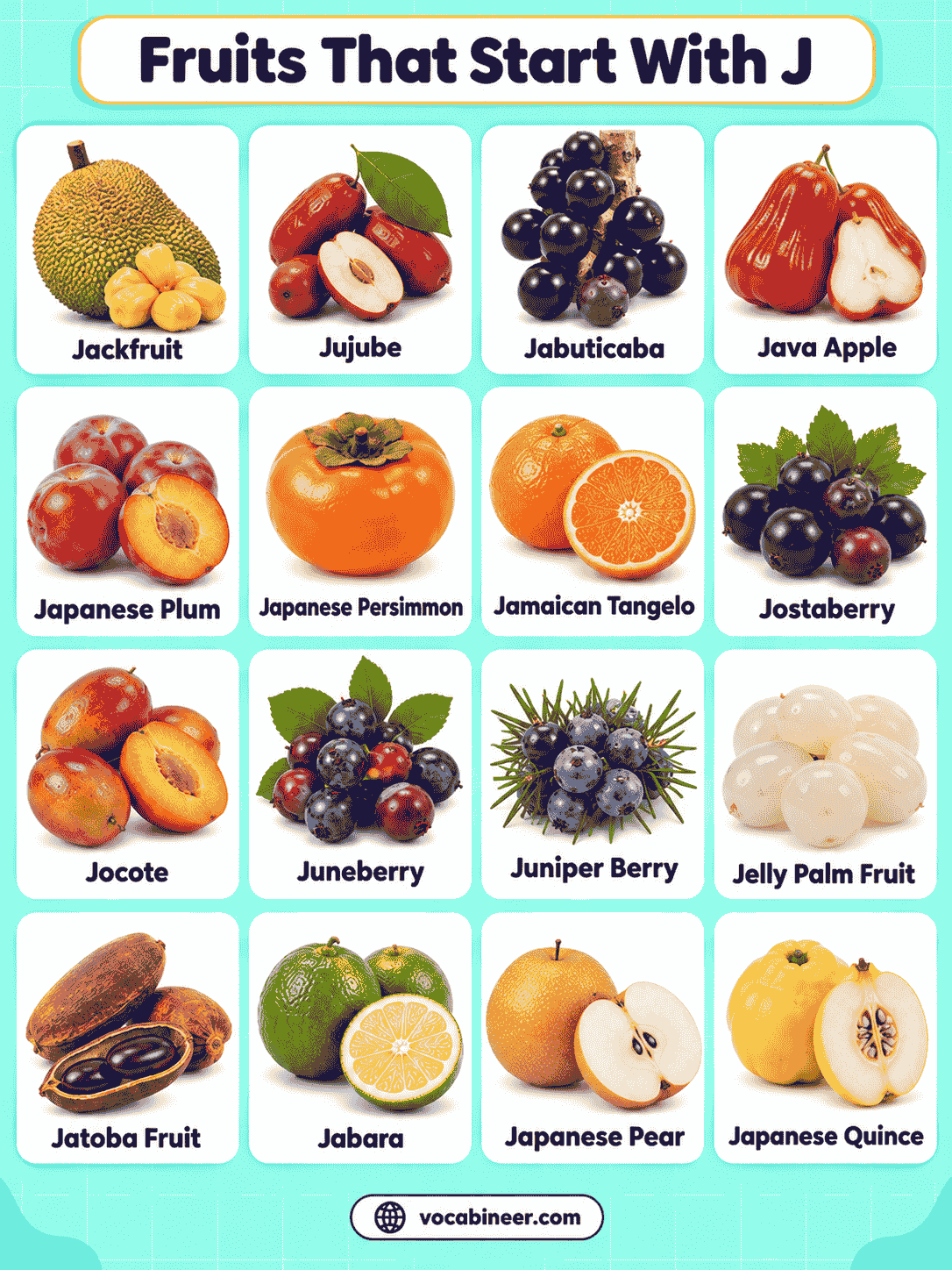 Fruits That Start With J: 20 Names With Pictures