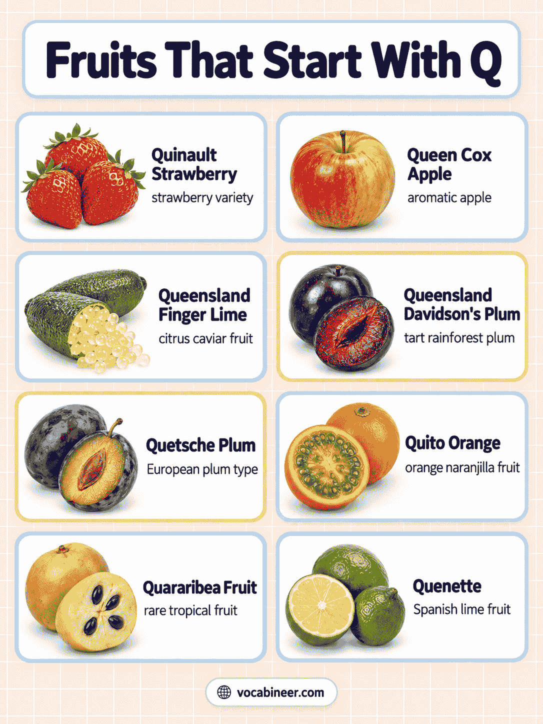 Fruits That Start With Q With Names and Pictures
