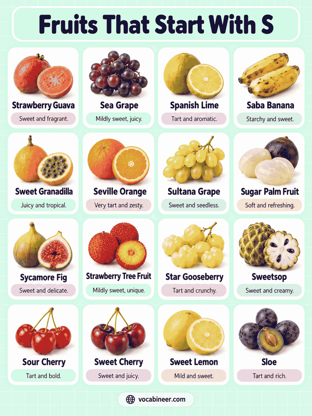 Fruits That Start With S With Names and Pictures