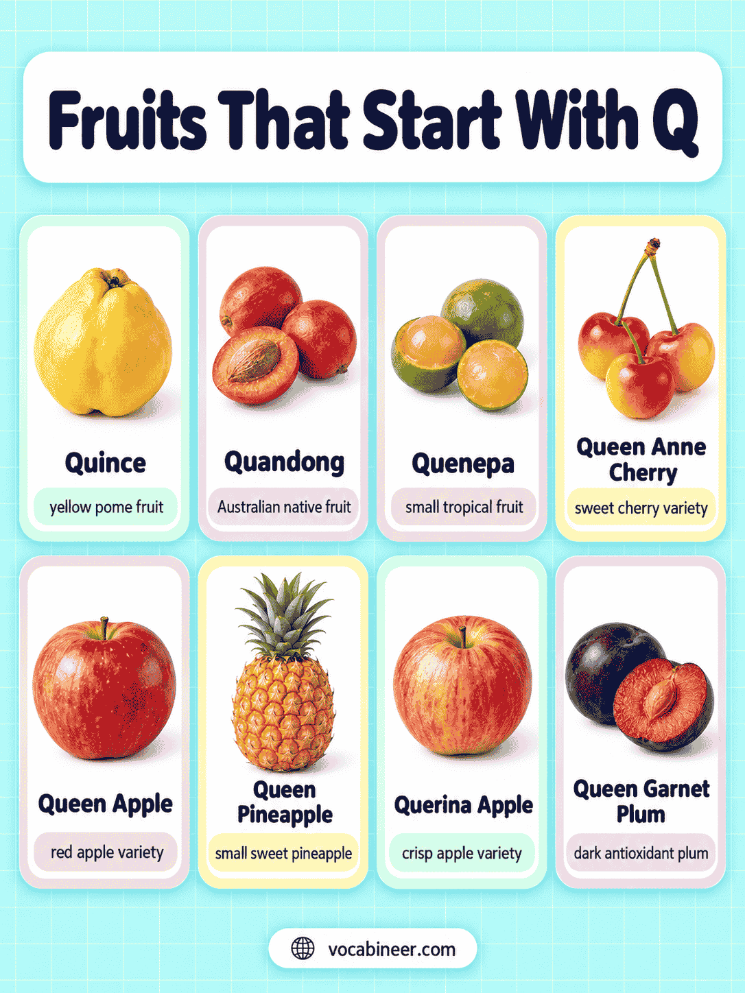 Fruits With Letter Q: 16 Names, Pictures, and Varieties