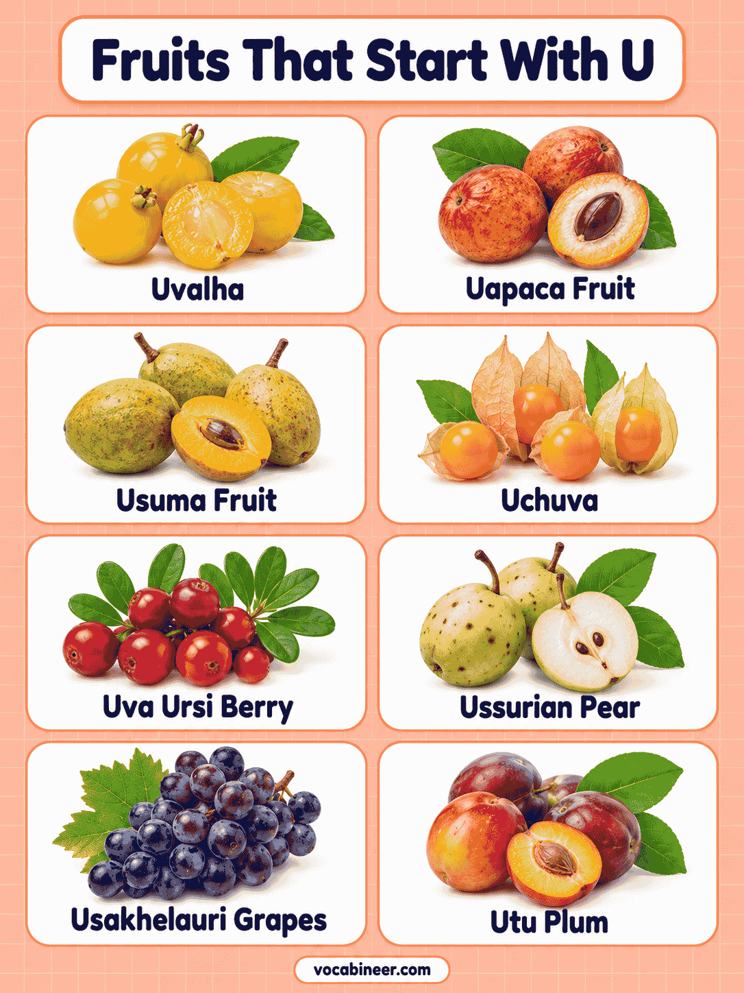 Fruits With U: 16 Names, Pictures, and Varieties