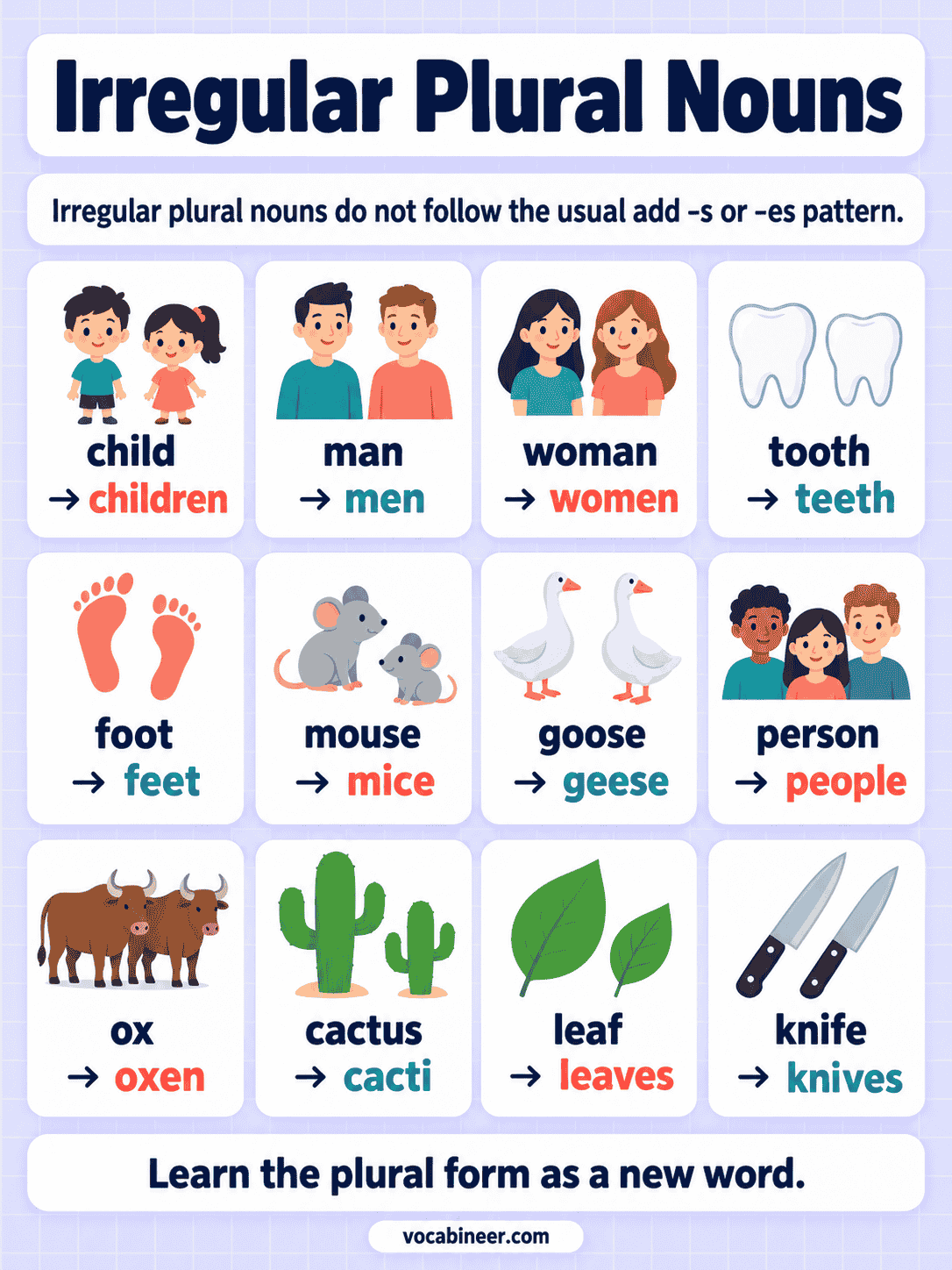 Irregular Plural Nouns: Rules and Examples