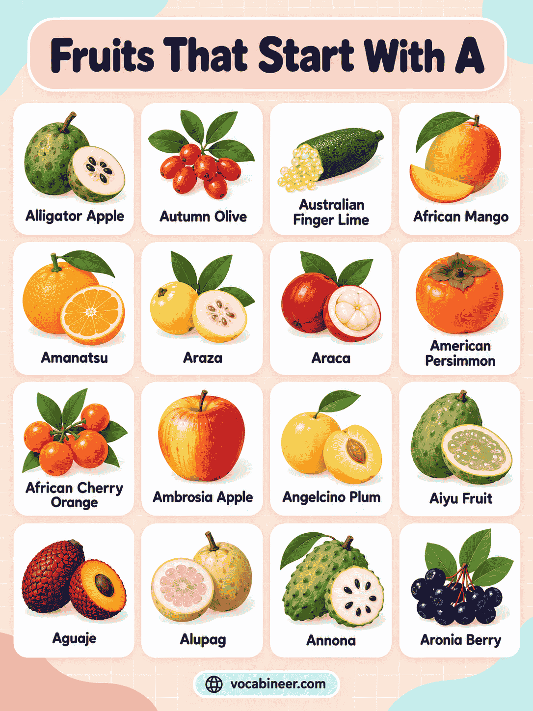 List of Fruits Beginning With A for Kids with Pictures