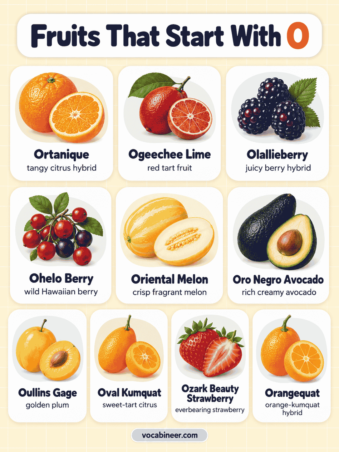O Fruits List: 22 Fruit Names With Pictures