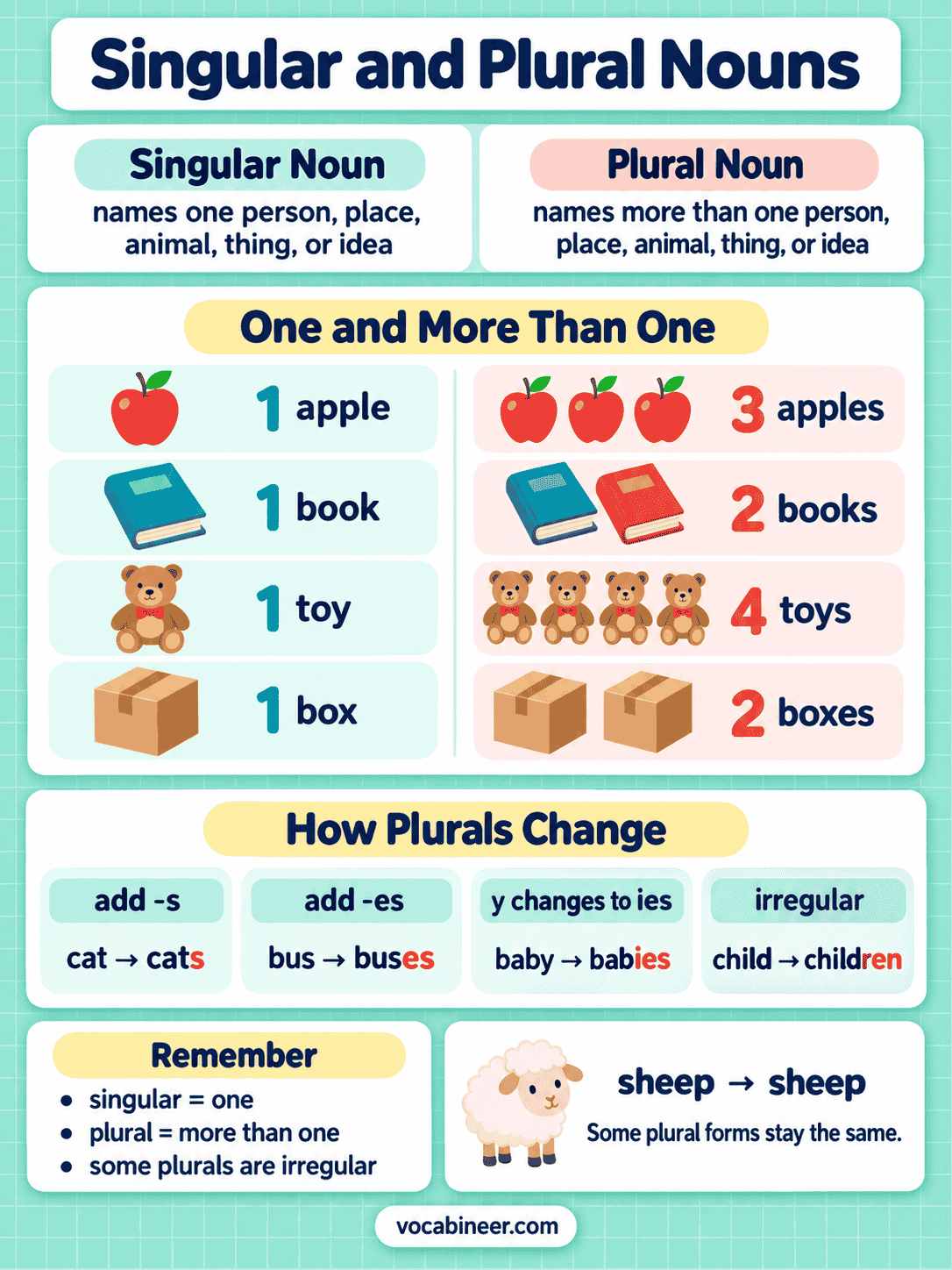 Singular and Plural Nouns with Rules and Examples
