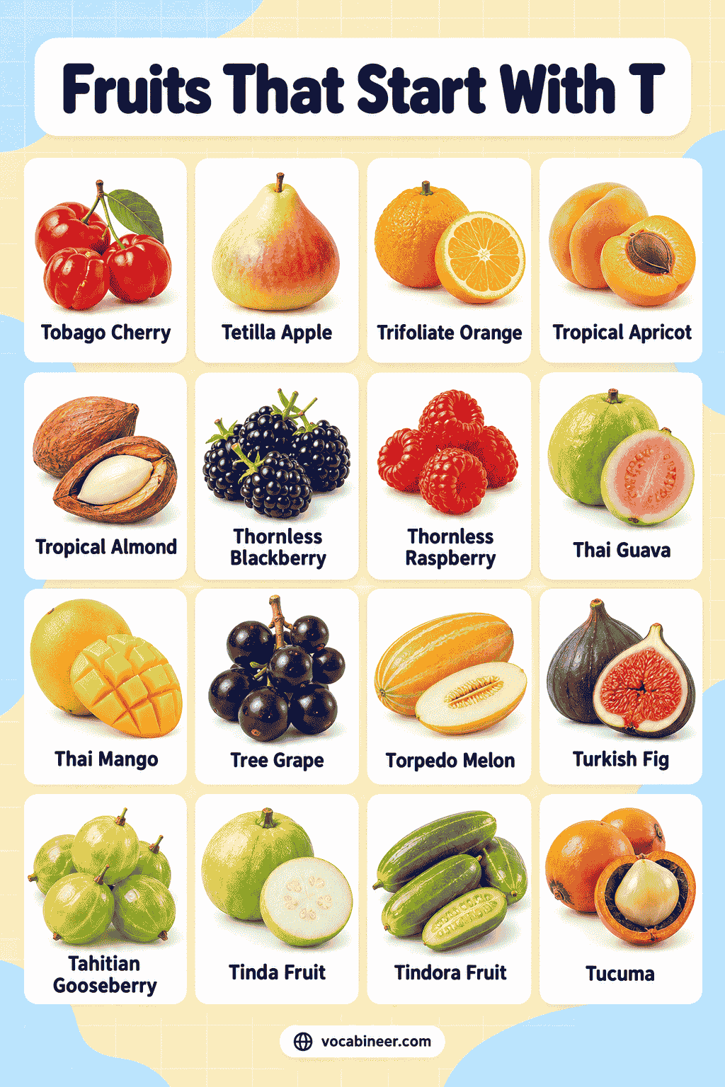 T Fruit Names With Pictures and Key Features
