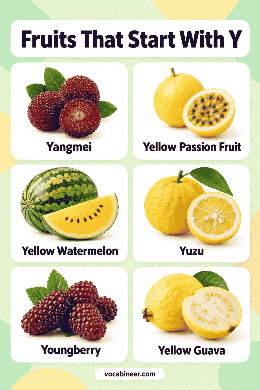 19 Fruits Beginning With Y and Their Names with Pictures