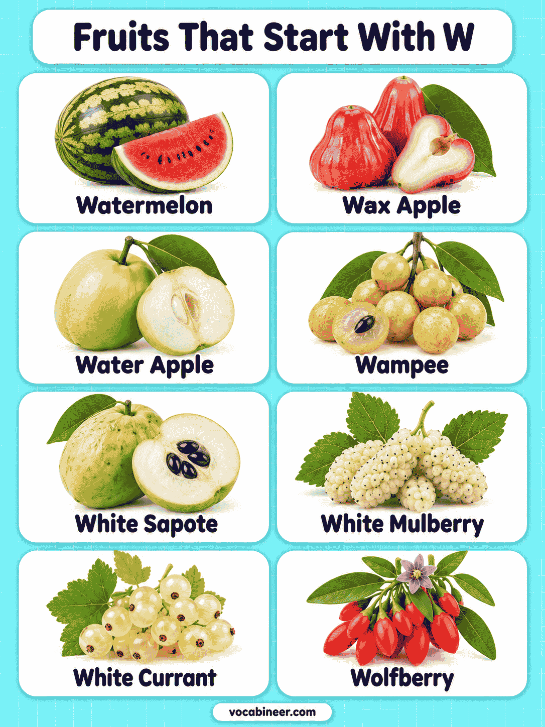 24 Fruits That Start With W With Names and Pictures