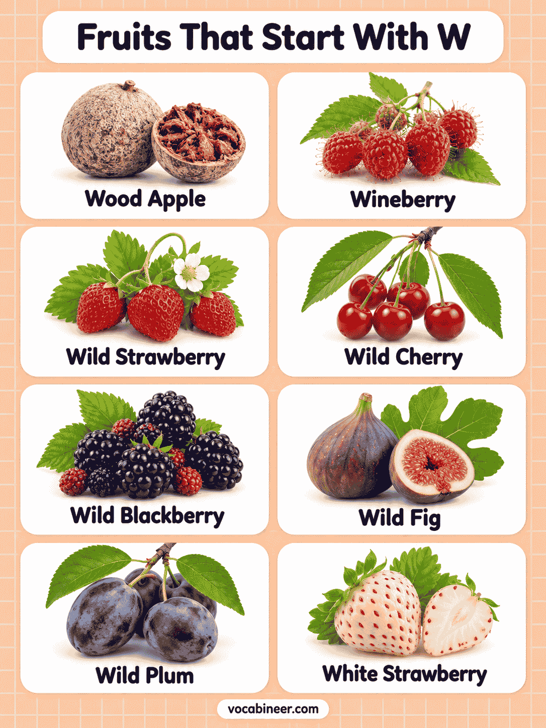 Fruits Beginning With W: 24 Names and Pictures