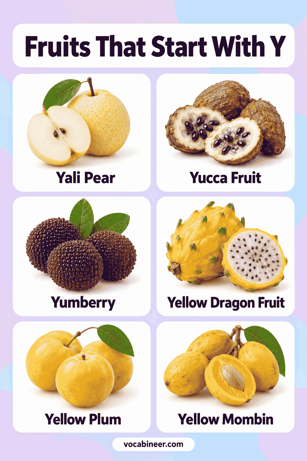 Fruits That Start With Y and Their Names with Images