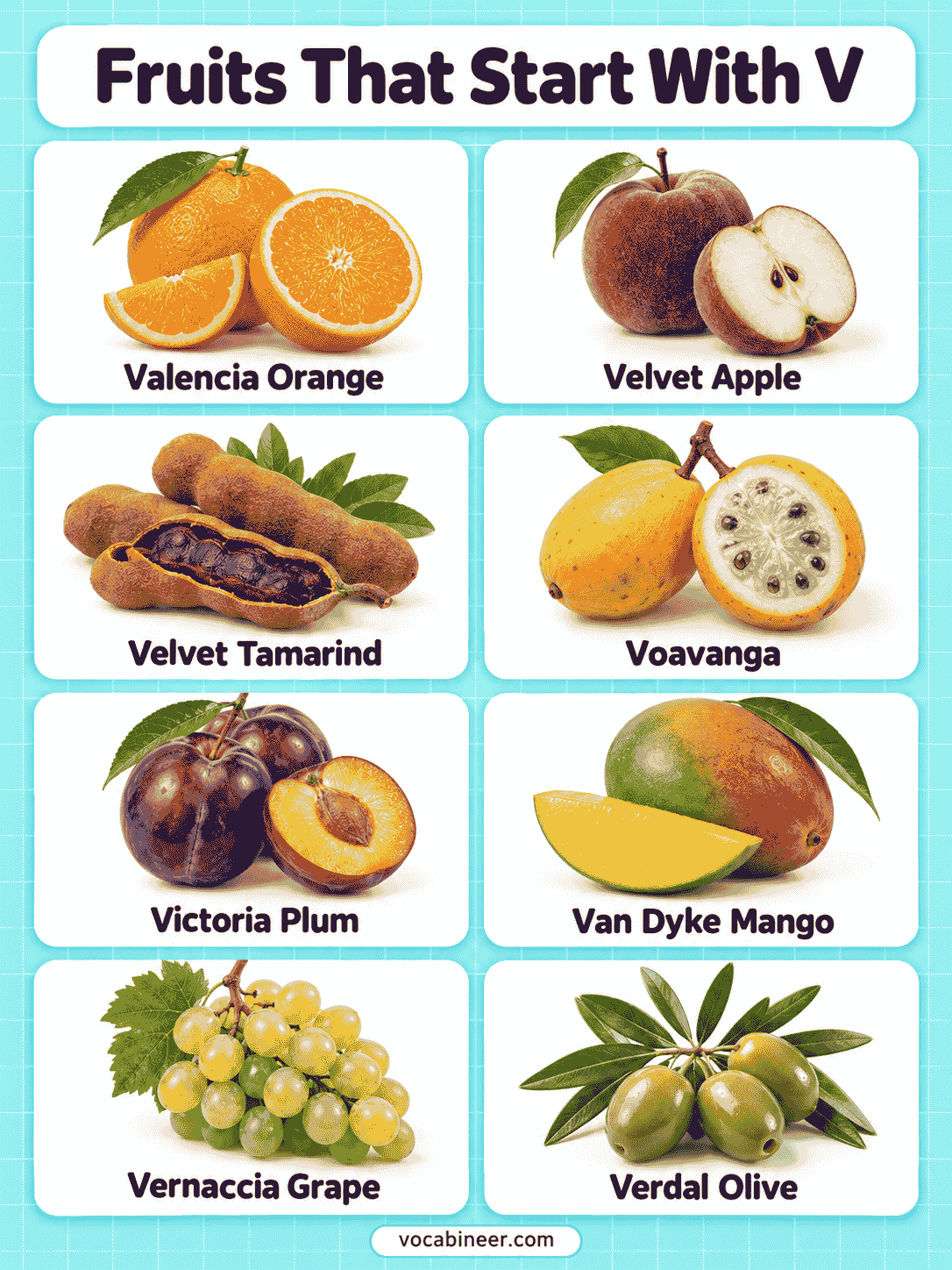 Fruits That Start With V: 22 Names With Pictures