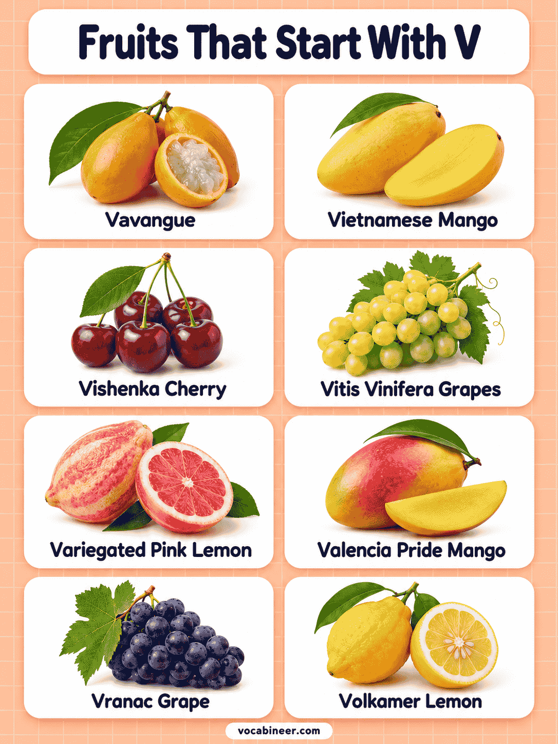 Fruits That Start With V With Names and Pictures